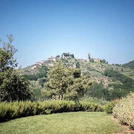 Terre Di Cocomo Borgo a Buggiano Exterior photo